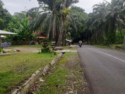 5 Ha Tanah Kebun Murah Pinggir Jalan Provinsi Ciroyom Cipeundeuy
