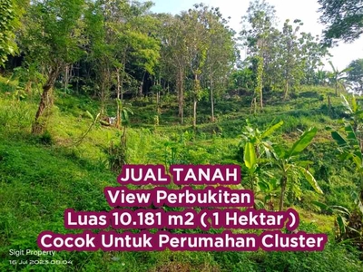 Jual Tanah 1 Hektar Di Semarang Pudak Payung Cocok Untuk Perumahan