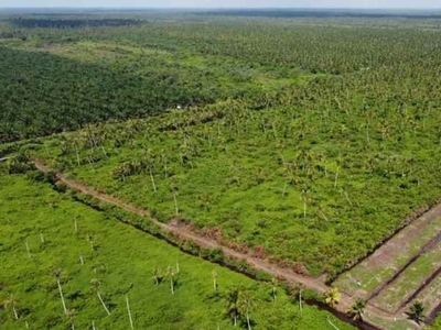 Jual Tanah Luas 30 Hektar Di Mempawah Kalimantan Barat Ag2014