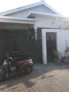 Rumah Second 1 Lantai Surabaya Timur Dekat Merr Kalijudan