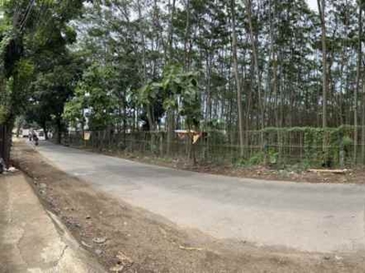 Tanah Luas Jual Murah Di Ngaliyan Semarang