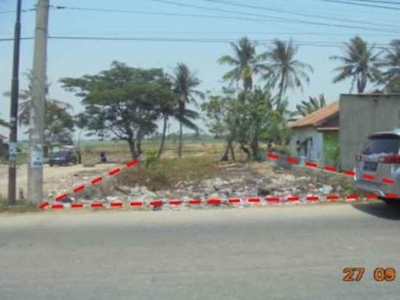 Tanah Luas Siap Bangun Di Jl Raya Kali Baru Pakuhaji Tangerang