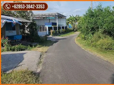 27.700 m2 with Flat Garden Land by Asphalted Road Access in Jembrana