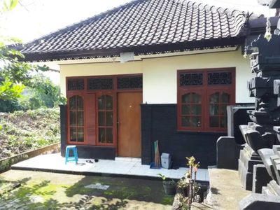 Dijual murah Rumah 4kt di Tabanan Bali