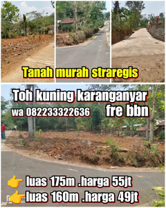 Jual tanah murah ,Strategis luas 175m .harga 55jt .karangpandan