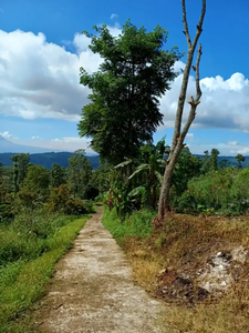 Tanah di candi gedongsongo