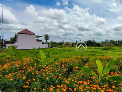 Land For Sale Tumbak Bayuh jalan griya mas dekat canggu bali