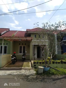 Murah Dibawah NJOP Pinus Regency LT 125/70 900jt nego