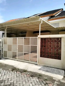 rumah baru 1lt murah 600jt an Medokan Ayu Surabaya