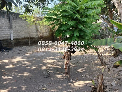 Rumah Kampung di Kota Kediri