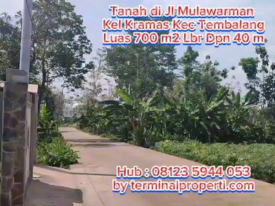 Tanah 400 m2 dan 740 m2 di Jl Mulawarman Kel Bulusan Kec Tembalang