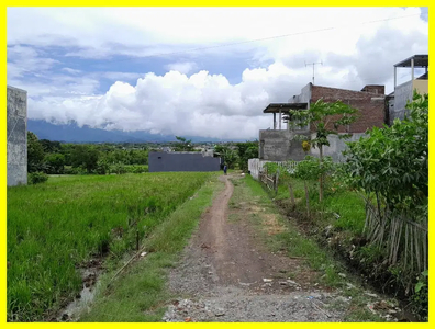 Tanah Belakang Taman Singha Malang Legalitas AMAN