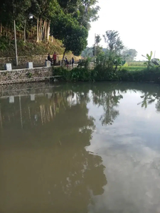 Tanah Dijual Berupa Kolam dan Sawah Produktif