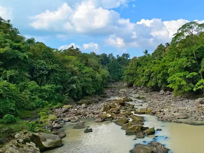 tanah kebut los sungai view sawah dekat kota tabanan.