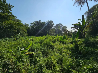 Tanah Luas Dekat Perumahan Besar, Cocok Untuk Mini Cluster