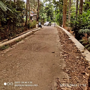 Tanah pekarangan murah Jumantono Karanganyar ada pohon durian