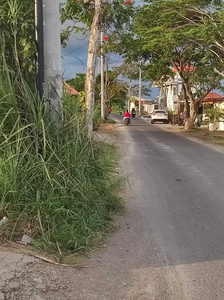 Tanah Sewa Raya Seseh Cocok Resto Or Usaha luas 55 Are Dekat Canggu