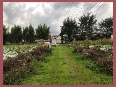 Tanah Siap Bangun Rumah Kos, Kota Malang LM10