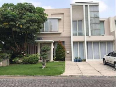 Pakuwon Indah Rumah Minimalis Siap Huni