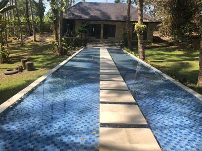 5 Villa + 5 Kolam Renang Di Pusat Wisata Dunia Bali