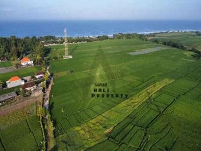 500m2 & 1000m2 | Tanah View Laut & Sawah Di Pantai Kelating Dkat Pasut