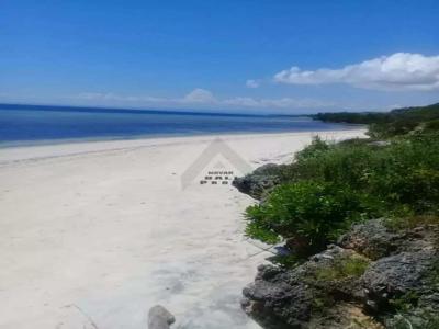 BEACHFRONT | 21 HEKTAR | Tanah Los Pinggir Tepi Tebing Pantai Di Sumba
