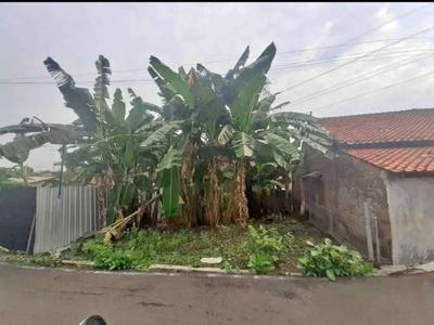 DIJUAL TANAH BOROBUDUR MANYARAN SEMARANG BARAT