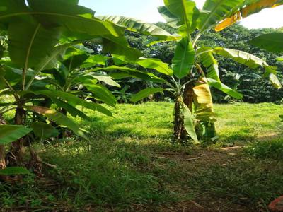 Dijual tanah di cijengkol kecamatan Setu Kabupaten Bekasi