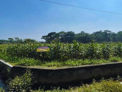 Dijual Tanah di Pare, Kediri: SHM Aman