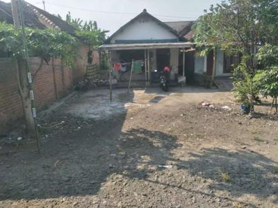 Jual tanah bonus rumah (BU)