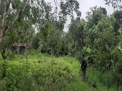 Lahan Tanah Luas 1 Hektar - 30rb hektar Samarinda - Penajam IKN