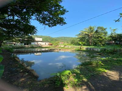 Rumah + kolam 3 kotak