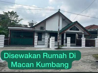 Rumah Sewa Macan Kumbang