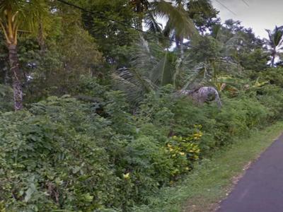 Tanah kebun dijual lokasi dangin tukadaya jembrana