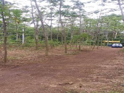 Tanah Mijen Dijual Murah Dekat SMP N 44 Semarang