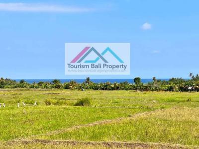 Tanah view los pantai rambut siwi di luas 13.000 m2 di Jembrana Bali