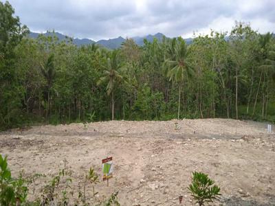 Tanah Murah Di Yogyakarta