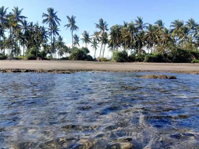 Tanah pinggir pantai (beach front) 30 menit dari pantai Medewi Bali