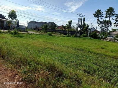 Di Jual Tanah Luas 2,5 Are Umalas Tegal Cupek