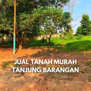 dijual tanah murah di tanjung barangan