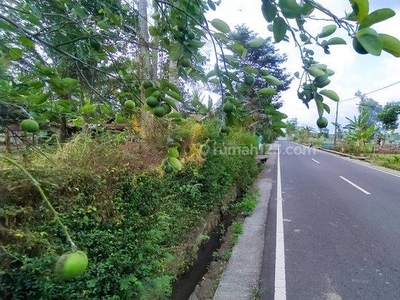 Dijual Tanah Pekarangan, 10 Menit Pasar Godean Jogja