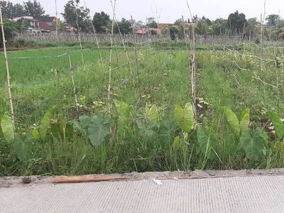 Dijual tanah seluas 230m2 laladon sawah baru