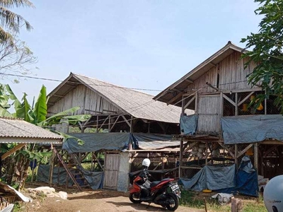 Jual Kandang Ayam Bogor Cigombong Berikut Rumah