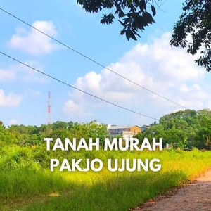 jual tanah surat shm, daerah pakjo ujung