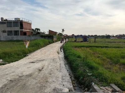 Pantai Kedungu : Kapling Villa View Sawah