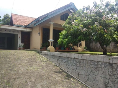 Dijual Rumah Asri dan Luas di Semarang Selatan