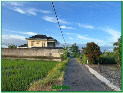 Selangkah Jl Damai, Tanah View Sawah di Sleman Jogja