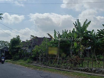 Tanah 50 Are Disewakan di Area Kerobokan