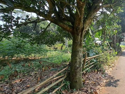 Tanah Area Cisauk Banten Nyaman Bangun Rumah Dekat Tol Serbaraja