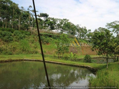 Tanah di Jalan Cisondari Pasir Jambu, Bandung SHM 5.000 m²